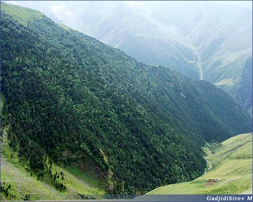 Bogoss a ridge,  Bogoss a ridge