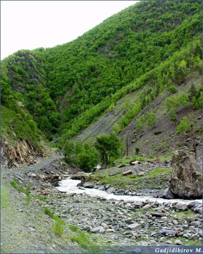 Хварши,  Хварши