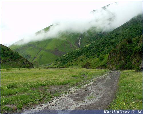The road from Sasitli to Kedi,  The road from Sasitli to Kedi