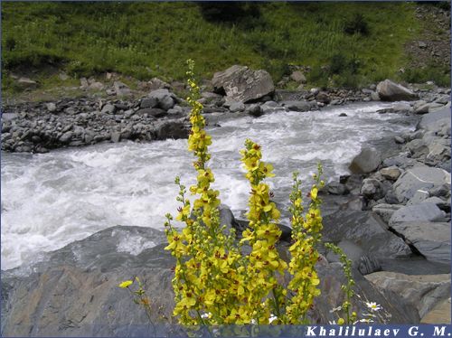 A landscape in Aknada,  A landscape in Aknada