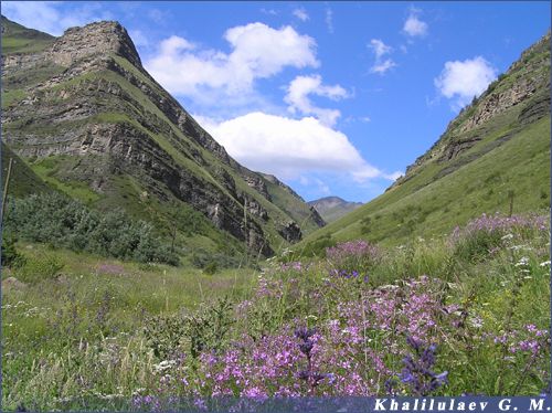 A landscape in Angida,  A landscape in Angida