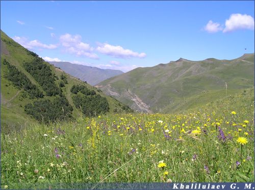 A landscape in Ashcha,  A landscape in Ashcha