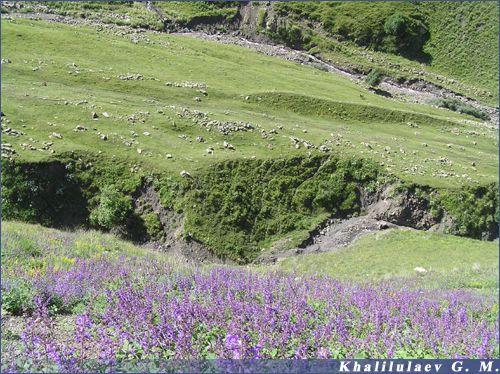 A landscape in Ashcha,  A landscape in Ashcha