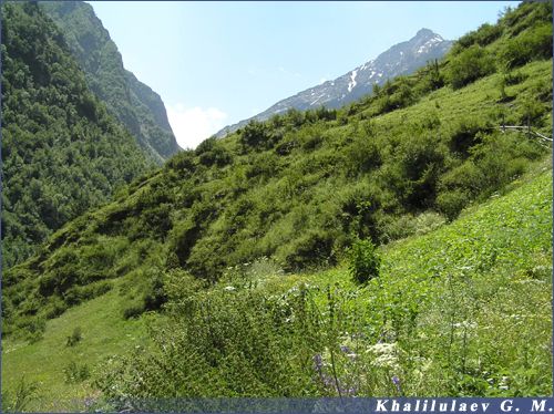 A landscape in Honoh,  A landscape in Honoh