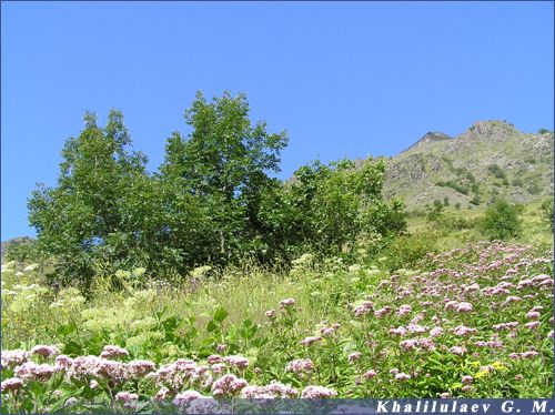 Пейзаж в Нижнем Хваршини,  Пейзаж в Нижнем Хваршини