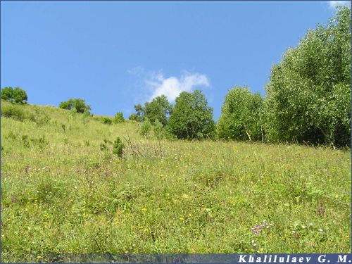 Пейзаж в Нижнем Хваршини,  Пейзаж в Нижнем Хваршини