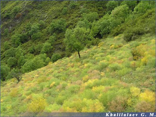 A landscape in Sildi,  A landscape in Sildi