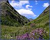 A landscape in Angida