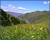 A landscape in Ashcha