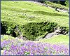A landscape in Ashcha
