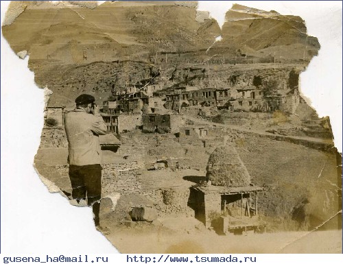 1951 г.,  1951 г.