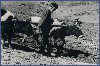 Пахота, 1965 г.