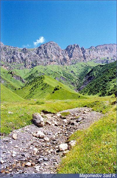 Природа в долине аула Кенхи,  Природа в долине аула Кенхи