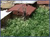 Обзор селения в Кванада