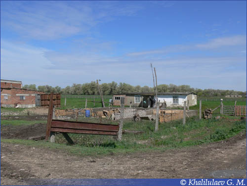 Селение Ургелой,  Селение Ургелой