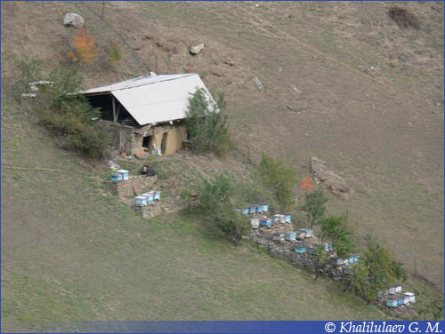 Селение Верхнее-Гаквари. Осень 2010г.,  Селение Верхнее-Гаквари. Осень 2010г.