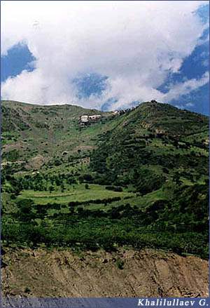 Инхоквари 2003 год.,  Инхоквари 2003 год.